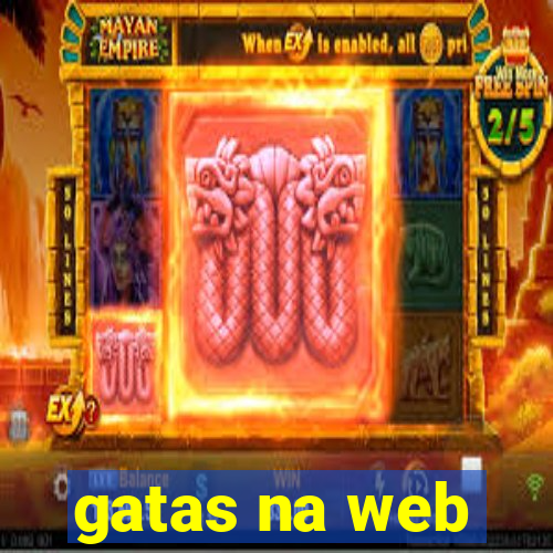 gatas na web